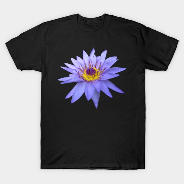 blue water lily T-Shirt by rh_naturestyles